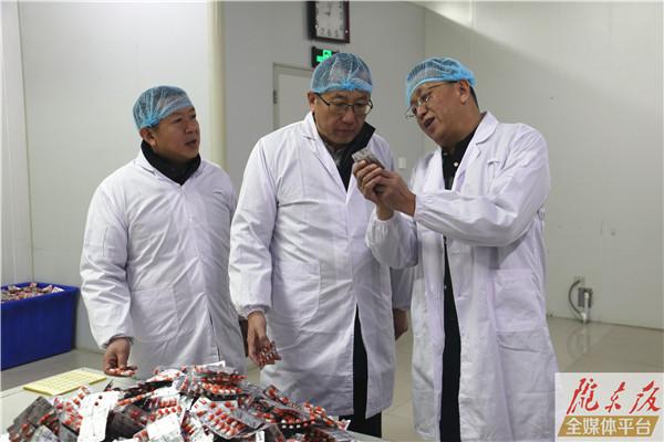 臧秋華來慶陽市調研工業和信息化工作