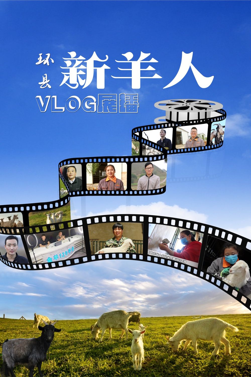 【環縣“新羊人”VLOG展播】岳宏剛：一家三代養羊人