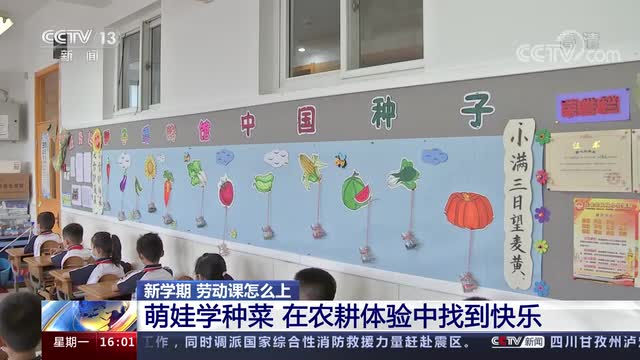 新學期，勞動課怎么上？央視《新聞直播間》關(guān)注北師大慶陽附校農(nóng)耕體驗課