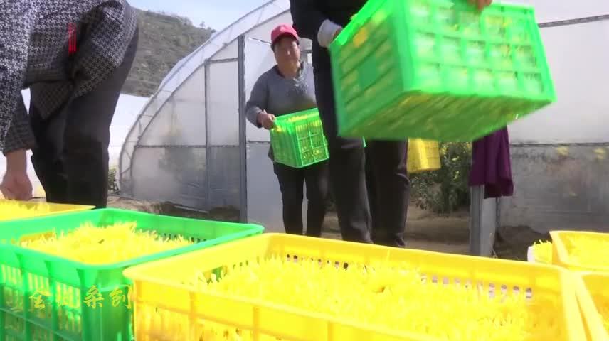 【我的慶陽我的愛】創業創新 活力迸發