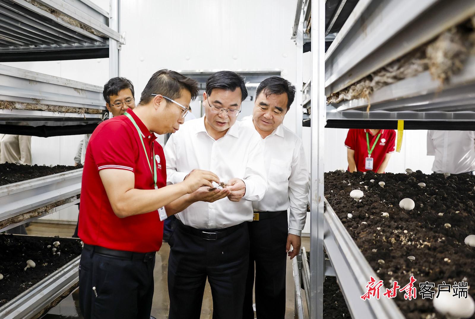 胡昌升在慶陽市調研時強調：加快高質量發展持續增進民生福祉 奮力開創革命老區全面振興新局面