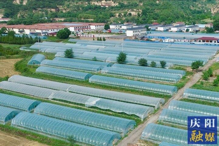 搶抓機遇再出發 錨定目標不放松 ——慶城縣推動縣域經濟高質量發展紀實