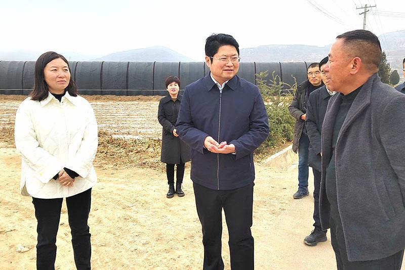 陳磊調研基層黨建、產業(yè)發(fā)展和項目建設工作