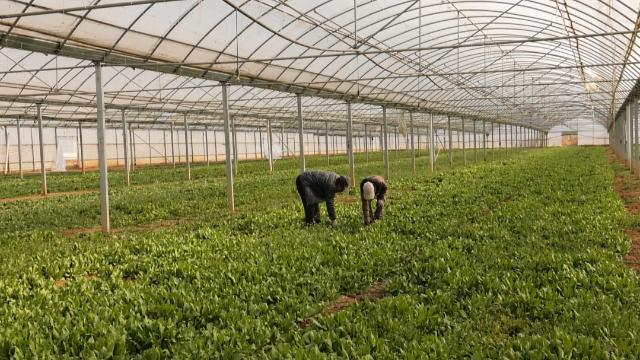 合水：按下春耕生產“快進鍵” 不誤農時不負春