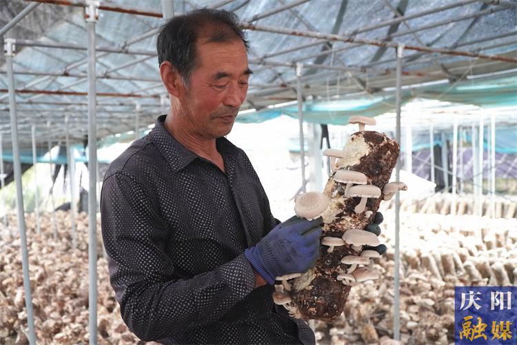 華池縣巧用“紅綠”鑰匙 解鎖發展密碼