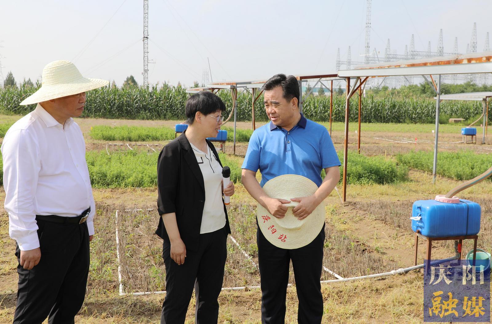 黃澤元在蘭州大學慶陽草地農業試驗站和市農科院調研時強調 切實提升科技成果轉化率促進農民增收 加快發展農業新質生產力推動農業增效