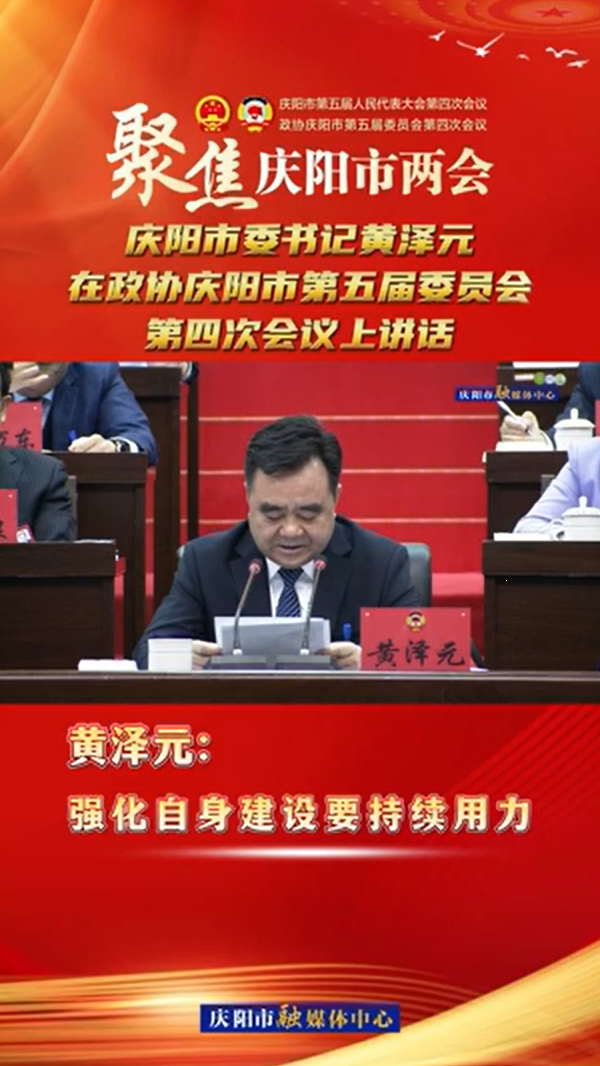兩會V視(22) | 黃澤元：強化自身建設要持續用力