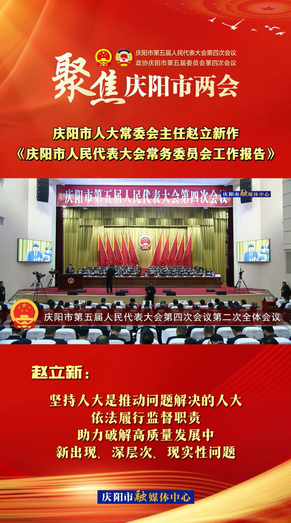 兩會V視(29)丨趙立新：堅持人大是推動問題解決的人大，依法履行監督職責，助力破解高質量發展中新出現、深層次、現實性問題