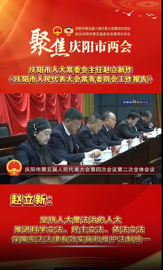 兩會V視(30)丨趙立新：堅持人大是法治的人大，推進科學立法、民主立法、依法立法，保障憲法法律有效實施和維護法制統一