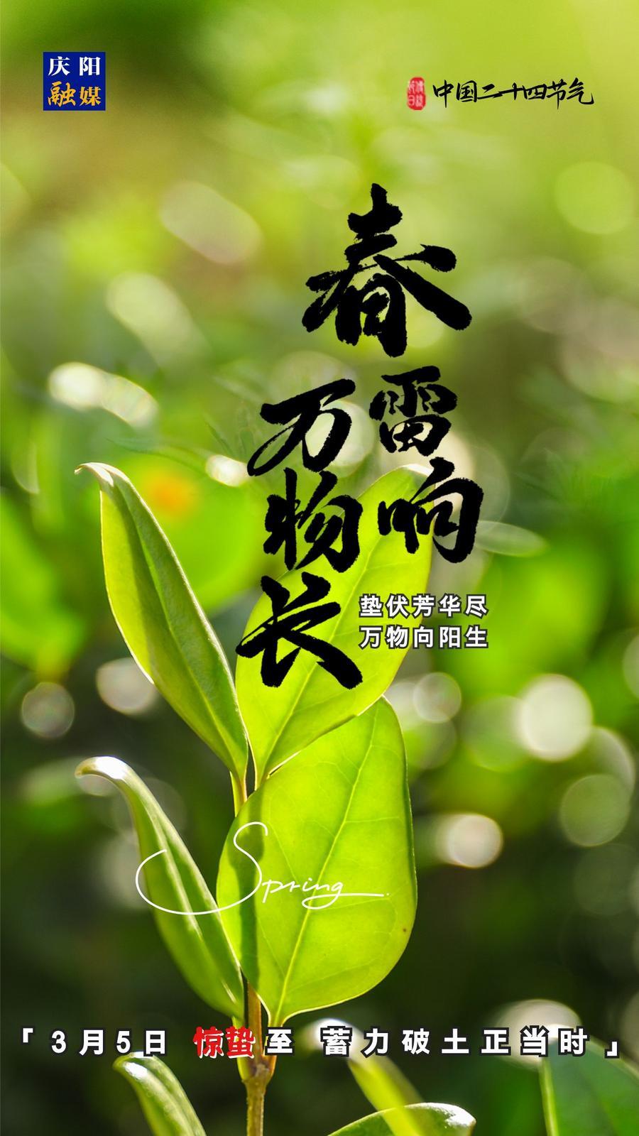 【微海報】二十四節氣丨驚蟄至，蓄力破土正當時