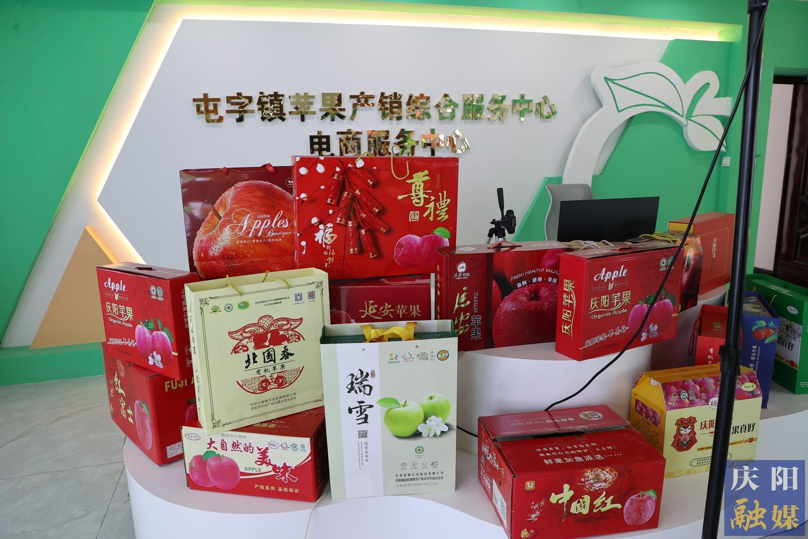 【攝影報(bào)道】鎮(zhèn)原縣甘旭果品專業(yè)合作社：蘋(píng)果全鏈發(fā)展 引領(lǐng)鄉(xiāng)村產(chǎn)業(yè)振興