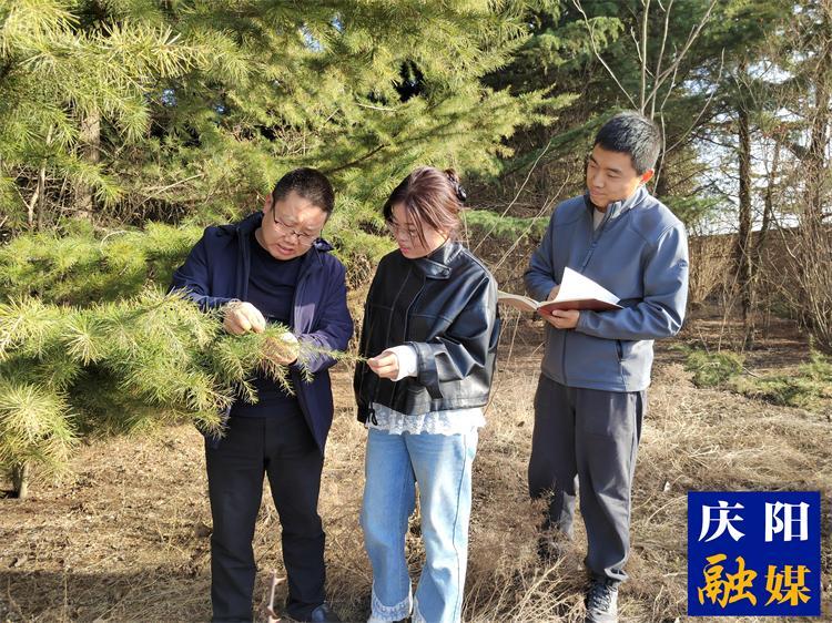 【報效祖國 建功西部】心懷生態夢  追“綠”寫忠誠  ——記慶陽市林科所林草濕荒綜合治理研究室主任徐建民