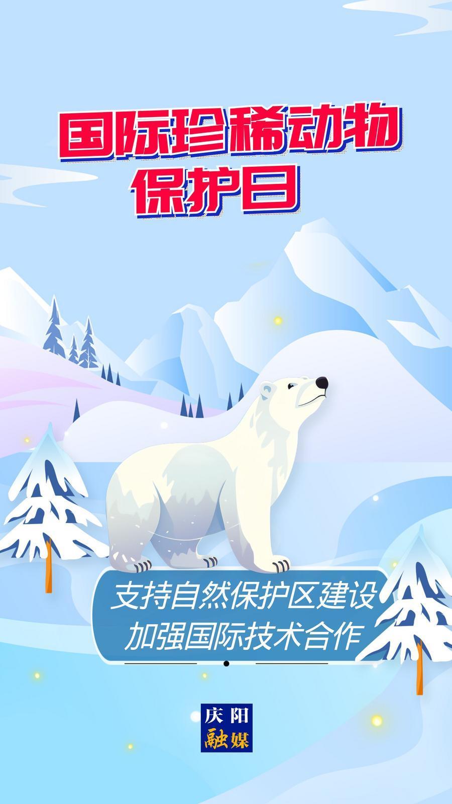【微海報】國際珍稀動物保護日丨支持自然保護區建設 加強國際技術合作