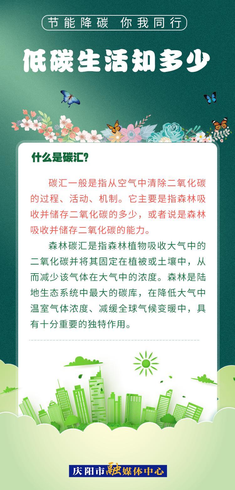 【節能降碳 你我同行】低碳生活知多少（5）：什么是碳匯？