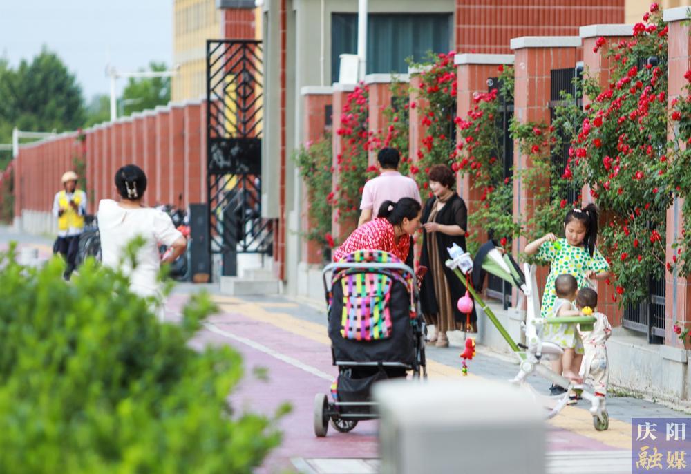 【攝影報道】薔薇花開！邂逅夏日的浪漫