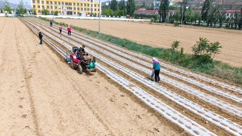 人工增雨、搶墑播種、送水上門——甘肅全力抗旱保障群眾生產生活