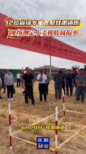 【V視】12位省級專家在鎮原現場測定小麥機收減損率
