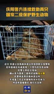 慶陽警方連續救助兩只國家二級保護野生動物